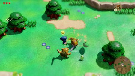 игра The Legends of Zelda: Echoes of Wisdom Русская Версия (Switch) для Nintendo Switch