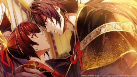 игра Birushana: Winds of Fate (Switch) для Nintendo Switch