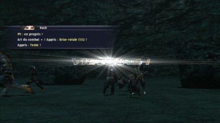 The Last Remnant (Xbox 360)