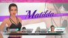 игра Knockout Home Fitness (Switch) для Nintendo Switch