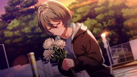игра SINce Memories: Off The Starry Sky (Switch) для Nintendo Switch