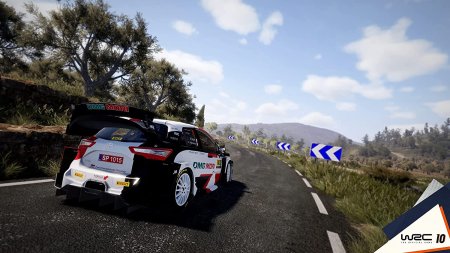 WRC 10: FIA World Rally Championship (PS5)