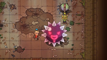 Игра The Swords of Ditto: Mormo's Curse (PS4) Playstation 4