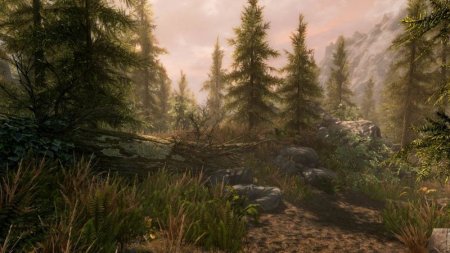 Игра The Elder Scrolls 5 (V): Skyrim VR (только для PS VR) (PS4) Playstation 4