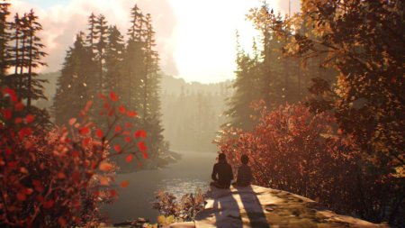 Игра Life is Strange 2 Русская Версия (PS4) Playstation 4