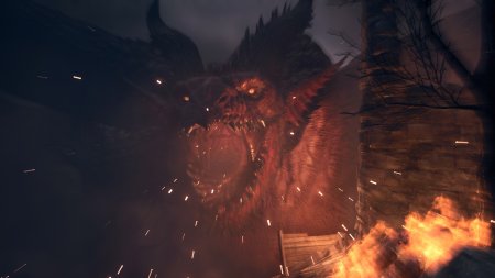 Dragon's Dogma II (2)   (PS5)