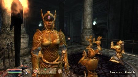 Купить игру The Elder Scrolls 4 (IV): Oblivion 5th Anniversary Edition (PS3) USED Б/У для Sony Playstation 3