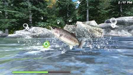 Игра Real Fishing: Road Trip Adventure (PS4) Playstation 4