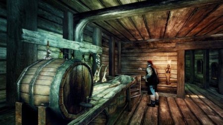 Купить игру Risen 2 Темные воды (Dark Waters) (PS3) для Sony Playstation 3