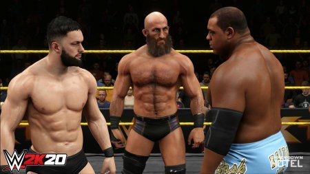 Игра WWE 2K20 (PS4) Playstation 4