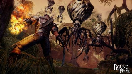 Bound by Flame Русская Версия Jewel (PC) 