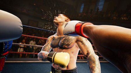 Игра Creed: Rise to Glory (Только для PS VR) (PS4) Playstation 4
