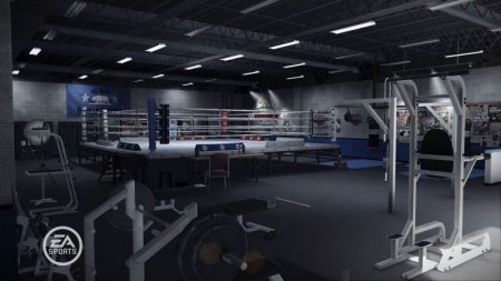 Купить игру Fight Night Champion (PS3) для Sony Playstation 3