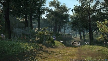 Игра Final Fantasy XIV (14): Heavensward (дополнение) (PS4) USED Б/У Playstation 4