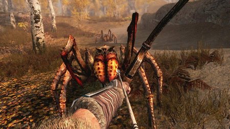 игра The Elder Scrolls 5 (V): Skyrim Русская Версия (Switch) для Nintendo Switch