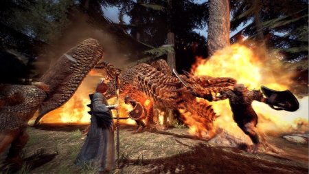 игра Dragon's Dogma: Dark Arisen (Switch) для Nintendo Switch