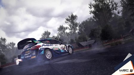 WRC 10: FIA World Rally Championship (PS5)