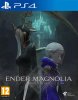 ENDER MAGNOLIA: Bloom in the Mist Русская Версия (PS4)