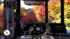 игра Japanese Rail Sim: Journey to Kyoto (Switch) для Nintendo Switch