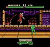 TMNT Teenage Mutant Ninja Turtles (Черепашки Ниндзя) (8 bit) для Денди 