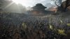 Dynasty Warriors: Origins (Game-Key Card) (Switch 2)