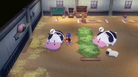 Story of Seasons: Grand Bazaar (Switch 2)