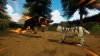 игра Warrior Cats: Clans of the Forest Feral Edition (Switch) для Nintendo Switch