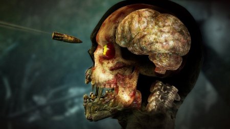 игра Zombie Army 4: Dead War Русская Версия (Switch) для Nintendo Switch