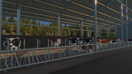 Real Farm Premium Edition Русская Версия (PS5)