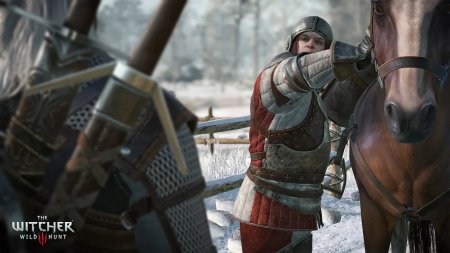игра Ведьмак 3: Дикая Охота (The Witcher 3: Wild Hunt) Русская Версия (Switch) для Nintendo Switch