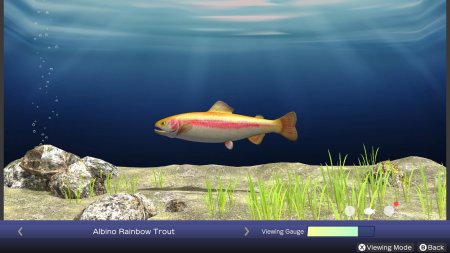 игра Reel Fishing: Days of Summer (Switch) для Nintendo Switch