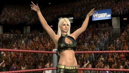  WWE SmackDown vs Raw 2010 (PSР) USED Б/У 