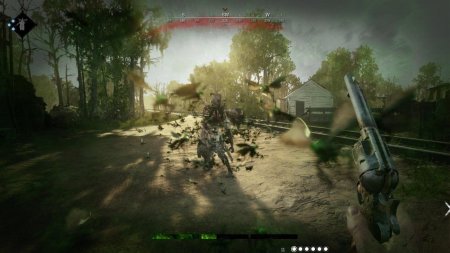 Игра Hunt: Showdown Русская Версия (PS4) Playstation 4