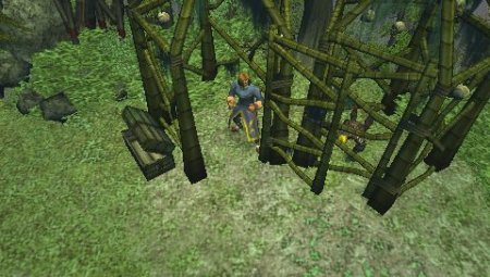  Dungeon Siege: Throne of Agony (PSP) 
