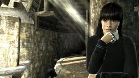Купить игру Гарри Поттер и Орден Феникса (Harry Potter and the Order of the Phoenix) (PS3) для Sony Playstation 3