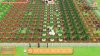 игра Story of Seasons: Pioneers of Olive Town (Switch) для Nintendo Switch