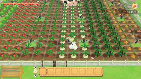 игра Story of Seasons: Pioneers of Olive Town (Switch) для Nintendo Switch
