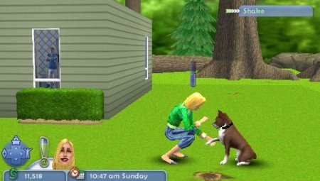  The Sims 2: Pets (Питомцы) Platinum (PSP) USED Б/У 