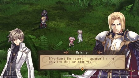 игра Record of Agarest War (Switch) для Nintendo Switch