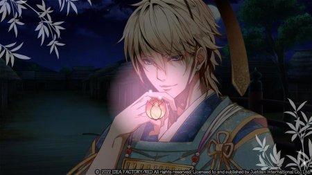 игра Birushana: Rising Flower of Genpei and Winds of Fate Dual Pack (Switch) для Nintendo Switch