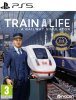 Train Life: A Railway Simulator Русская Версия (PS5)
