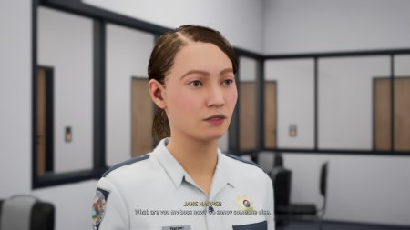 Highway Police Simulator (PS5)