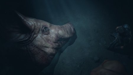 Дожить до рассвета (Until Dawn) Русская Версия (PS5)