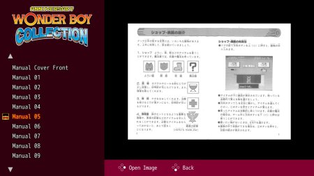 Игра Wonder Boy Anniversary Edition (Юбилейное издание) (PS4) Playstation 4