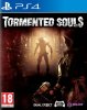 Tormented Souls Русская Версия (PS4)