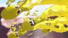 игра Splatoon 3 Русская Версия (Switch) для Nintendo Switch