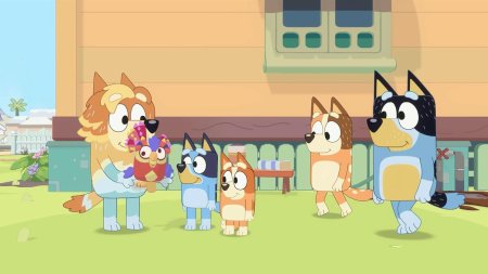 игра Bluey: The Videogame (Switch) для Nintendo Switch