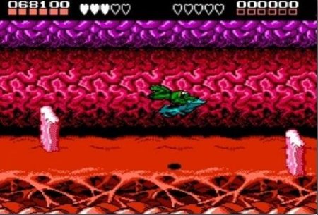 Боевые жабы (Battletoads) Русская Версия (8 bit) для Денди 