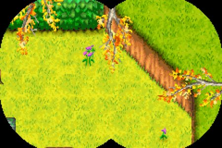 Лесная братва: Хэмми Сходит С Ума (Over the Hedge: Hammy Goes Nuts) Русская Версия (GBA) для Game boy