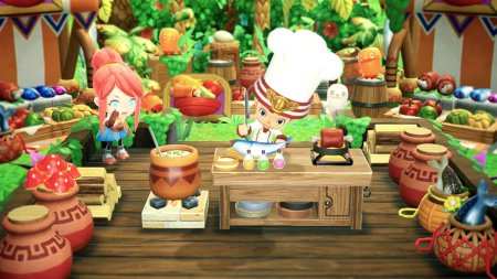 игра FANTASY LIFE i: The Girl Who Steals Time (Switch) для Nintendo Switch
